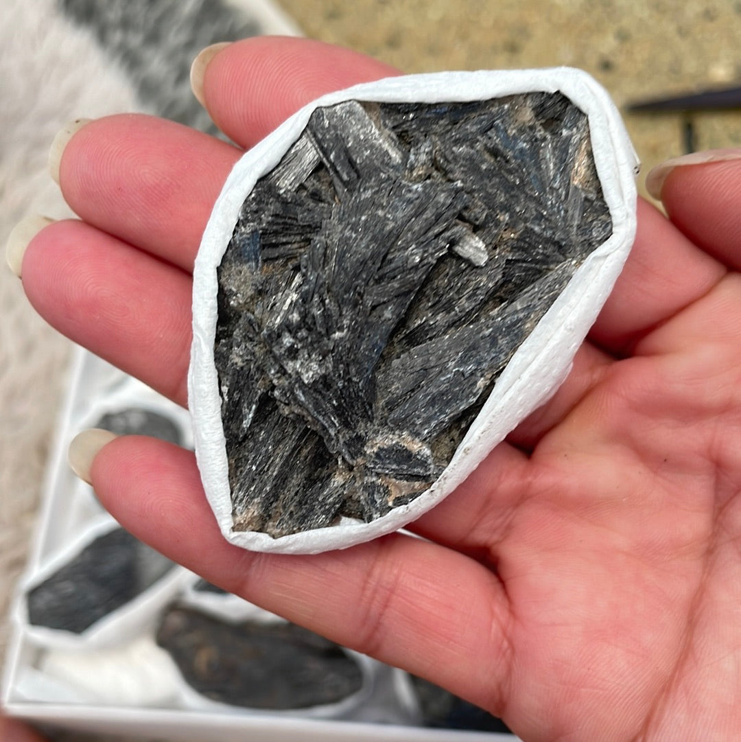 Large Black Kyanite